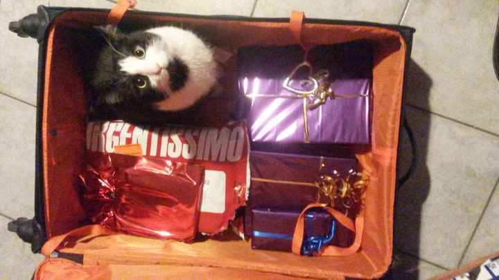 Vivere insieme.... a loro - 1