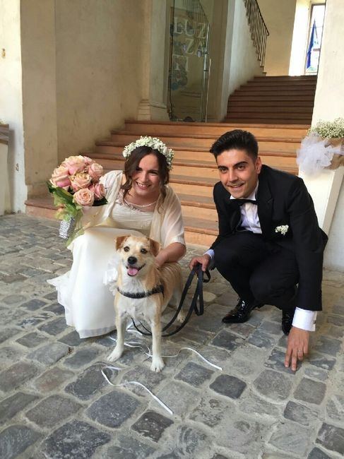 Finalmente sposi! - 2