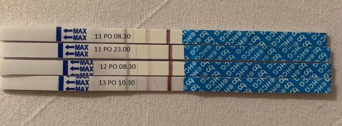 Chi non le aspetta per ottobre 2020 🍀❤️🍀❤️🍀❤️🍀❤️🍀❤️🍀❤️🍀 - 1