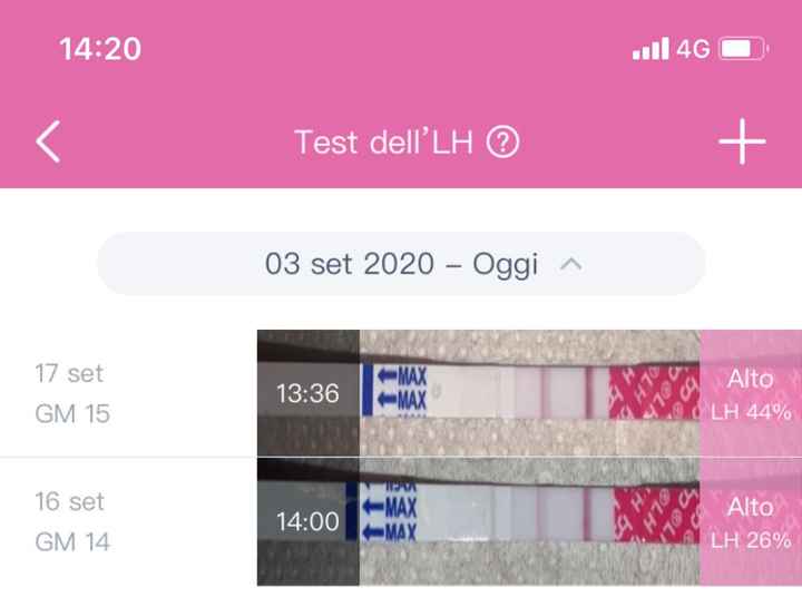 Chi non le aspetta per ottobre 2020 🍀❤️🍀❤️🍀❤️🍀❤️🍀❤️🍀❤️🍀 - 1