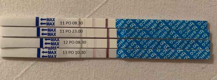 Chi non le aspetta per ottobre 2020 🍀❤️🍀❤️🍀❤️🍀❤️🍀❤️🍀❤️🍀 - 1