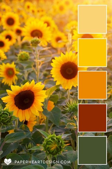 Colore da abbinare - 1