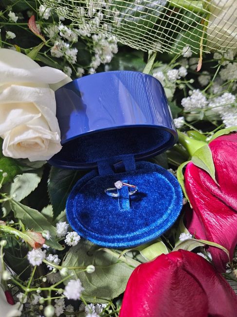 Come avete ricevuto la proposta? 1