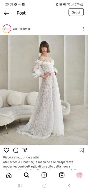 Aiuto abito da sposa! - 1