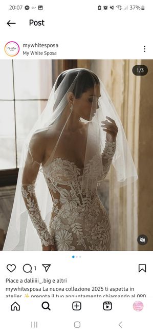 Aiuto abito da sposa! - 3