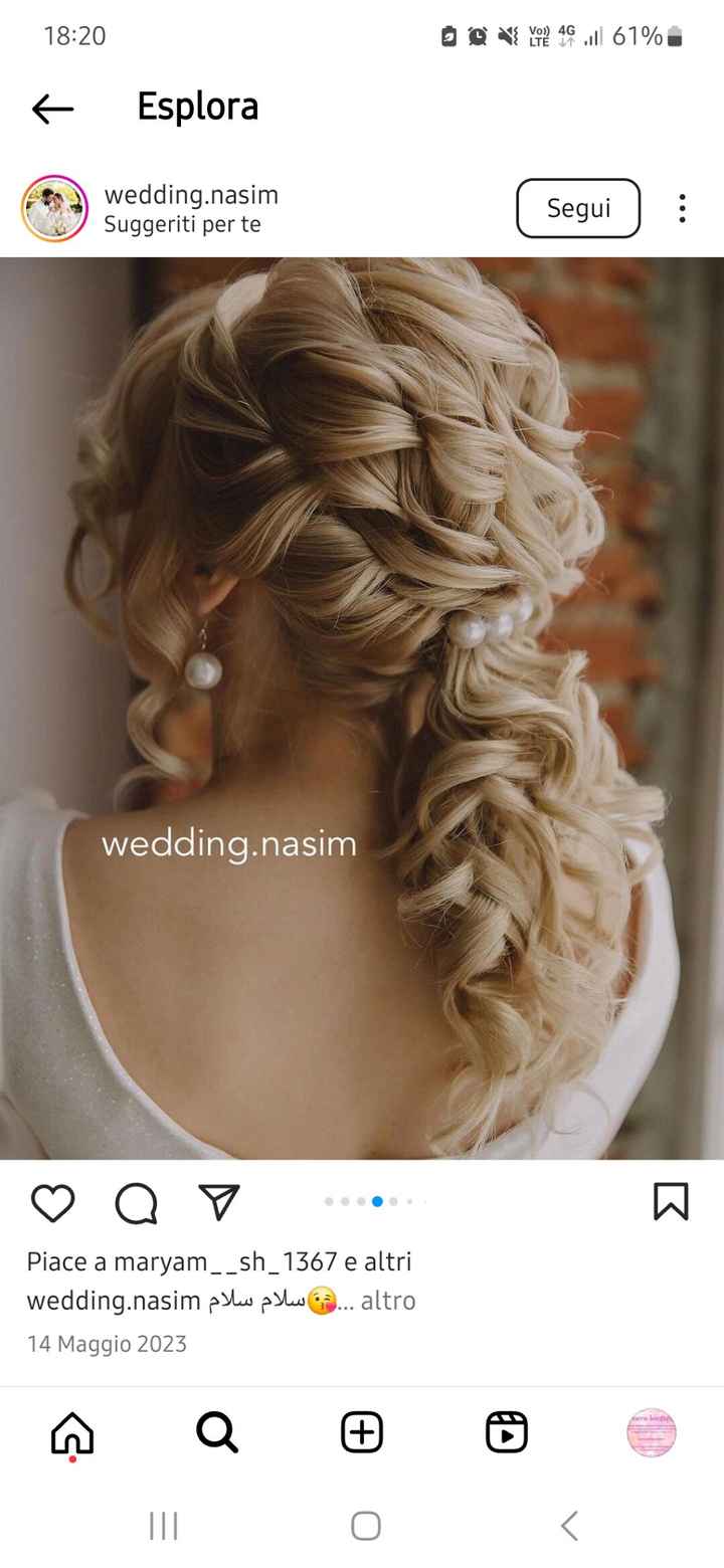 Acconciatura coda di cavallo - 1