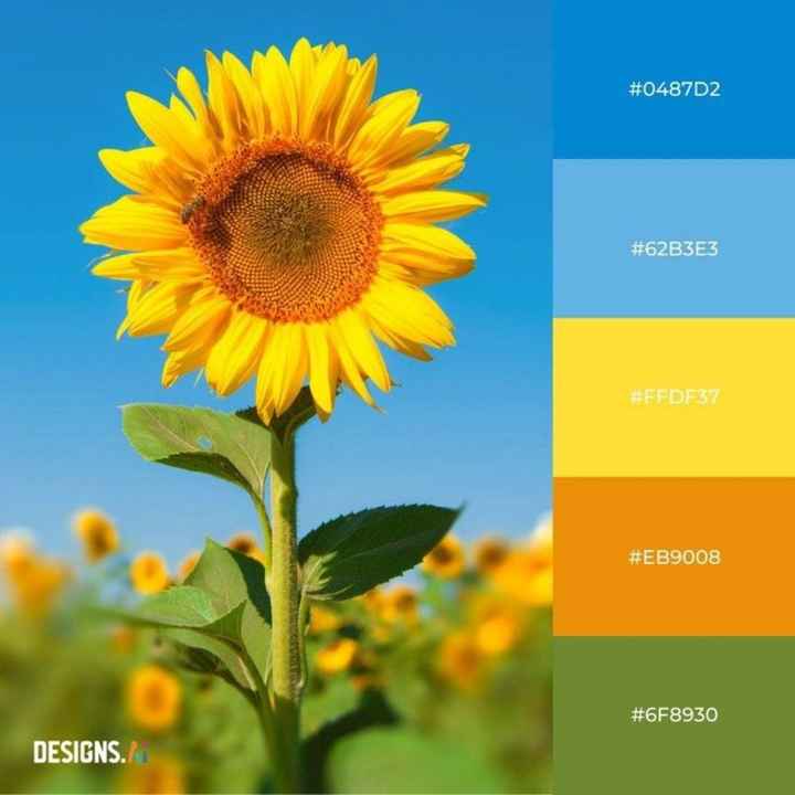 Colore da abbinare - 2