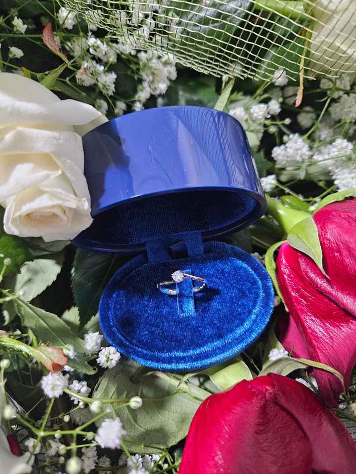 Come avete ricevuto la proposta? - 1