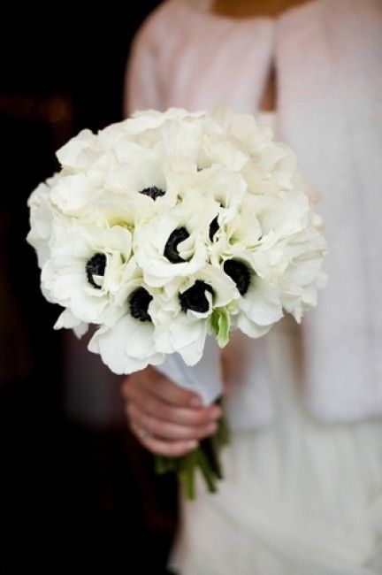 bouquet anemoni bianchi