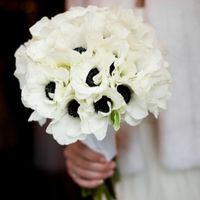 bouquet anemoni bianchi