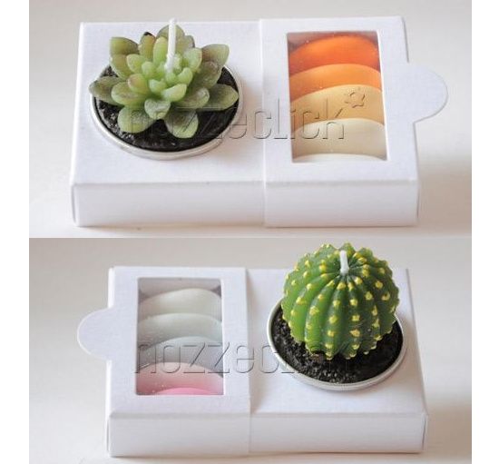 candele a forma di piantine grasse