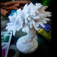 Quale tra le due - 2