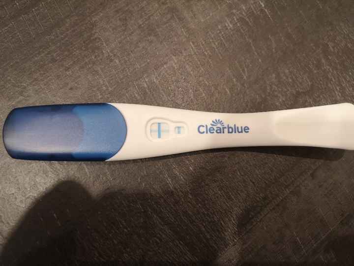 Febbraio 2019 - le aspiranti future mamme - 1