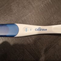 Febbraio 2019 - le aspiranti future mamme - 1