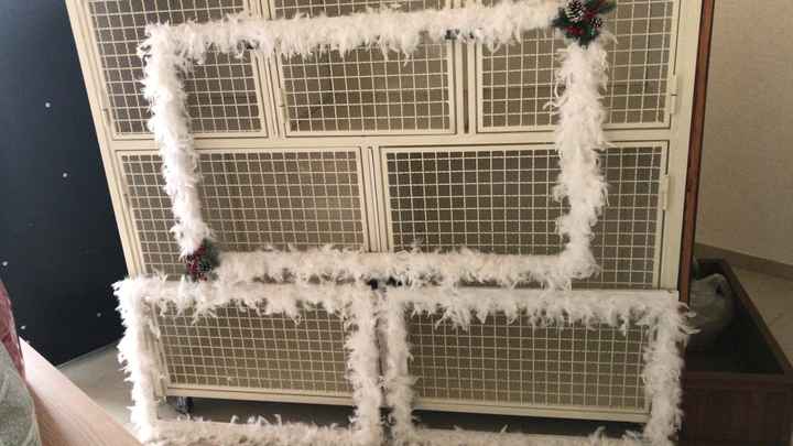  Chi si sposa nel periodo natalizio? - 2