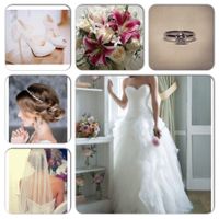 Collage di "si lo voglio"