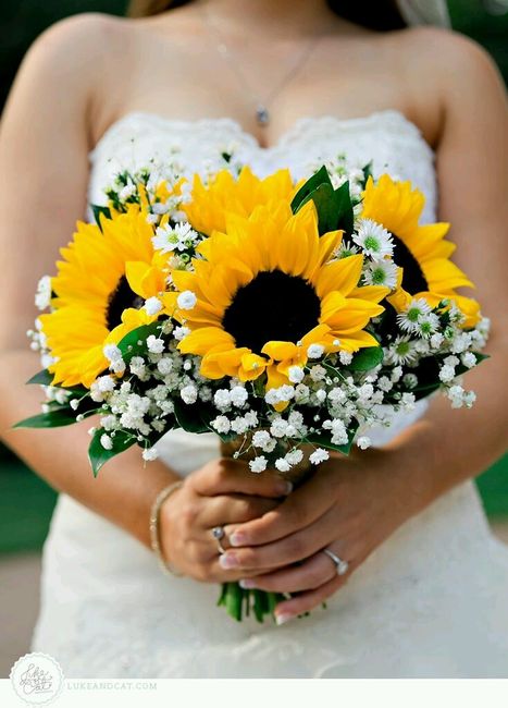 I nostri bouquet - 1