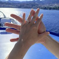 Che tipo di anello hai ricevuto alla proposta? - 1