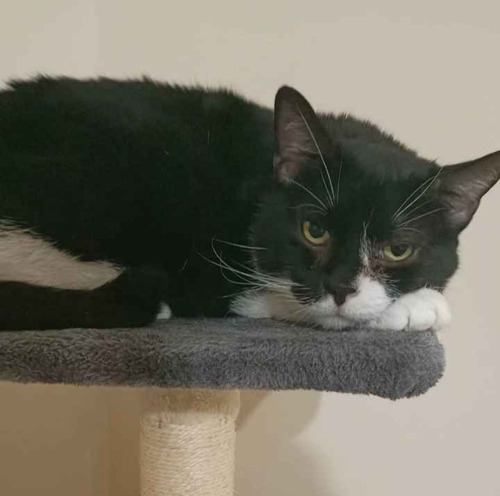 Future mamme Maggio 2025 💙💖 - 1