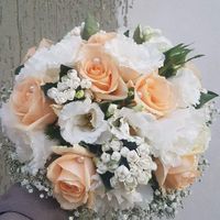 Rose color pesco a ottobre? - 1