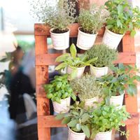 Che tableau marriage avete scelto per le vostre nozze? - 1