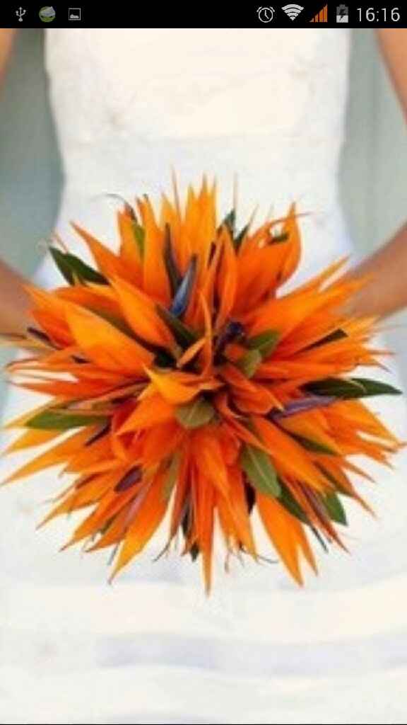 Crisi bouquet! - 1