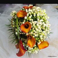 Crisi bouquet! - 2