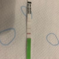 Aiuto test ovulazione one step - 1