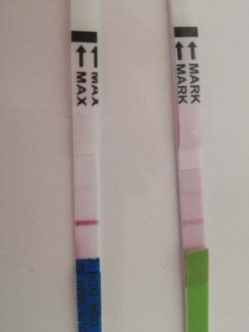 Delucidazioni per favore - 1