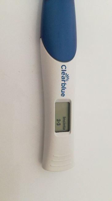 Delucidazioni per favore - 1