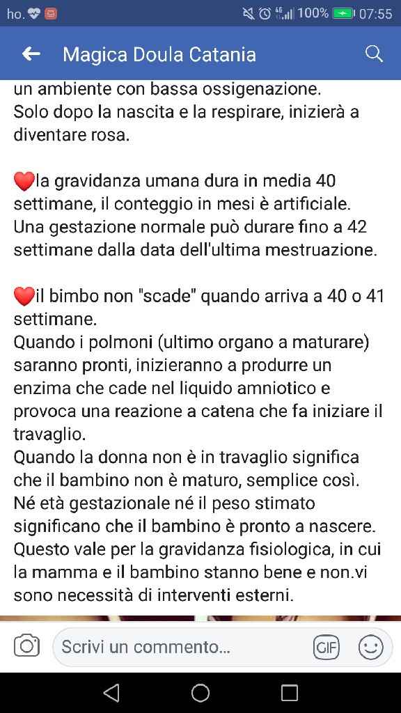 Mamme di febbraio 2019 - 2