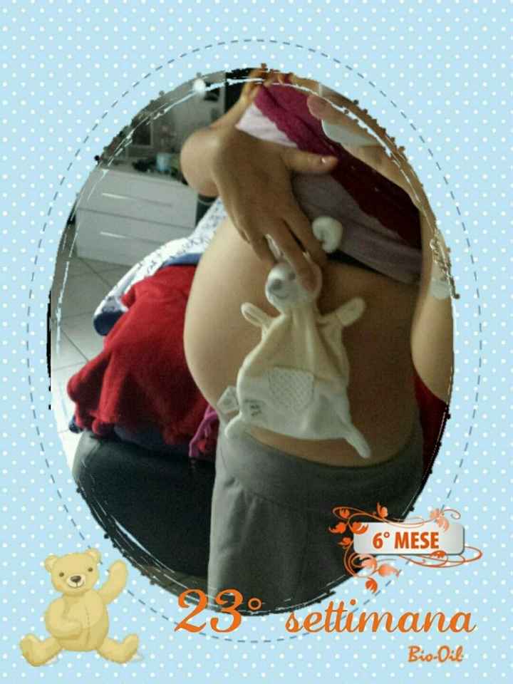 Fuori le panze!!! - 1