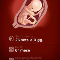 Per le ragazze in dolce attesa : - 1