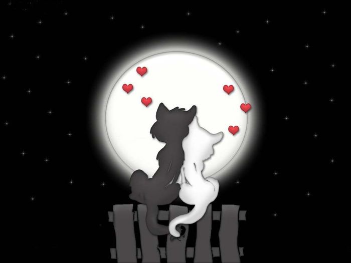 L'amore.....