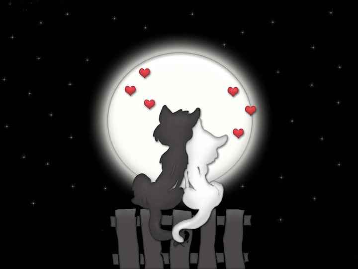 L'amore.....