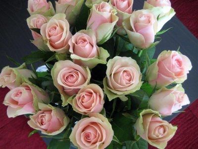 Rose...rose e ancora rose....come le amo io rosa antico!!!