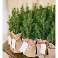 a  Chi  rivolgermi? - 1