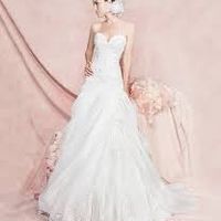 Carlo pignatelli non solo sposo - 1