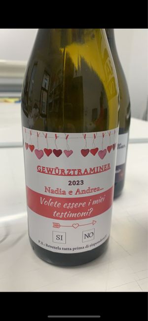 Proposta ai testimoni 2