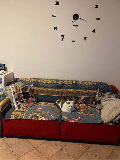 Cos'è la cosa che vi rende più felici? ❤️ 6