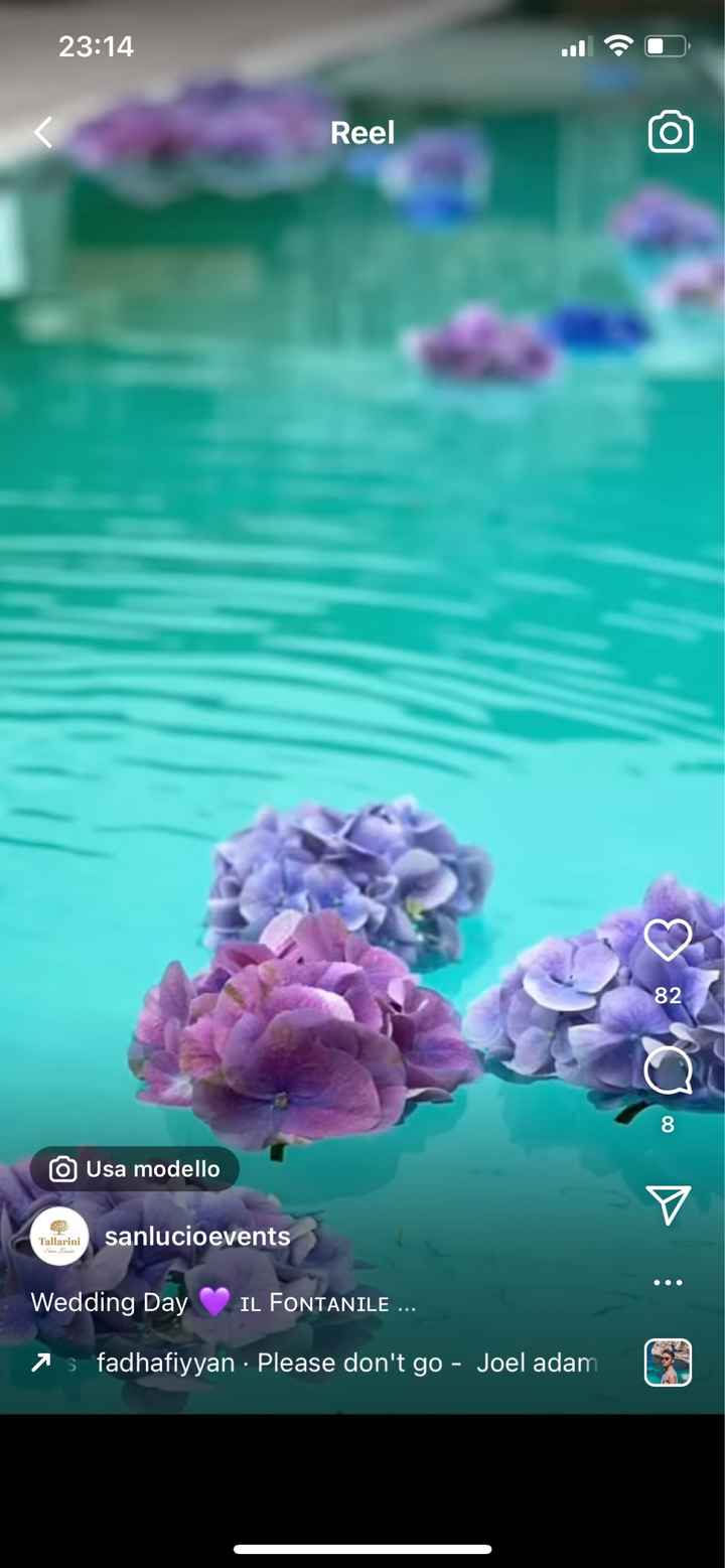 Piscina decorazioni - 1