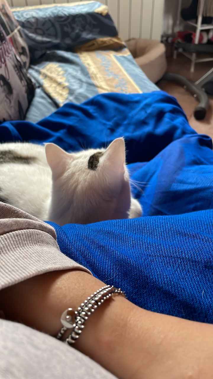 Cos'è la cosa che vi rende più felici? ❤️ - 1