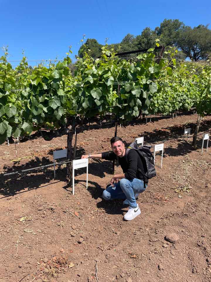 Rientrati dalla luna di miele ❤️ - 2