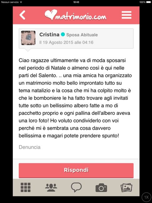 Idee e confettata natalizia - 2