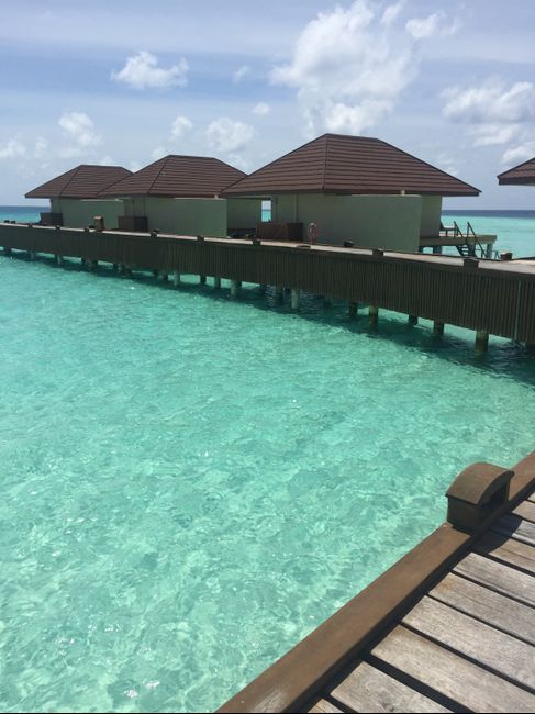 Viaggio di nozze alle Maldive? - 3