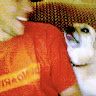 Luca
