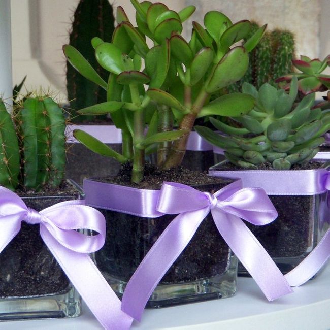 idea per le bomboniere