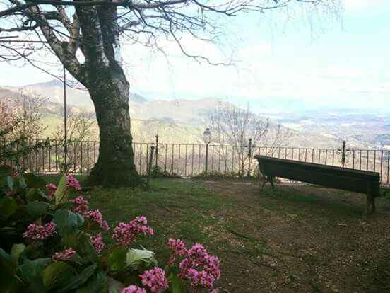 Proposta di matrimonio 💍 - 4