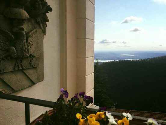 Proposta di matrimonio 💍 - 5