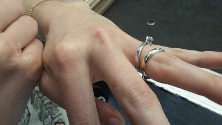 Fedi bicolore... - 2